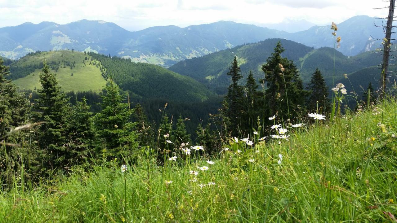 Апартаменты Im-Oberland - Tal - Бад-Кольгруб Экстерьер фото