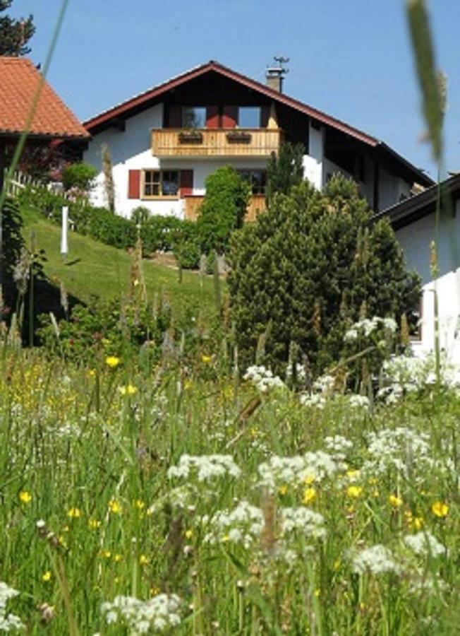 Апартаменты Im-Oberland - Tal - Бад-Кольгруб Экстерьер фото